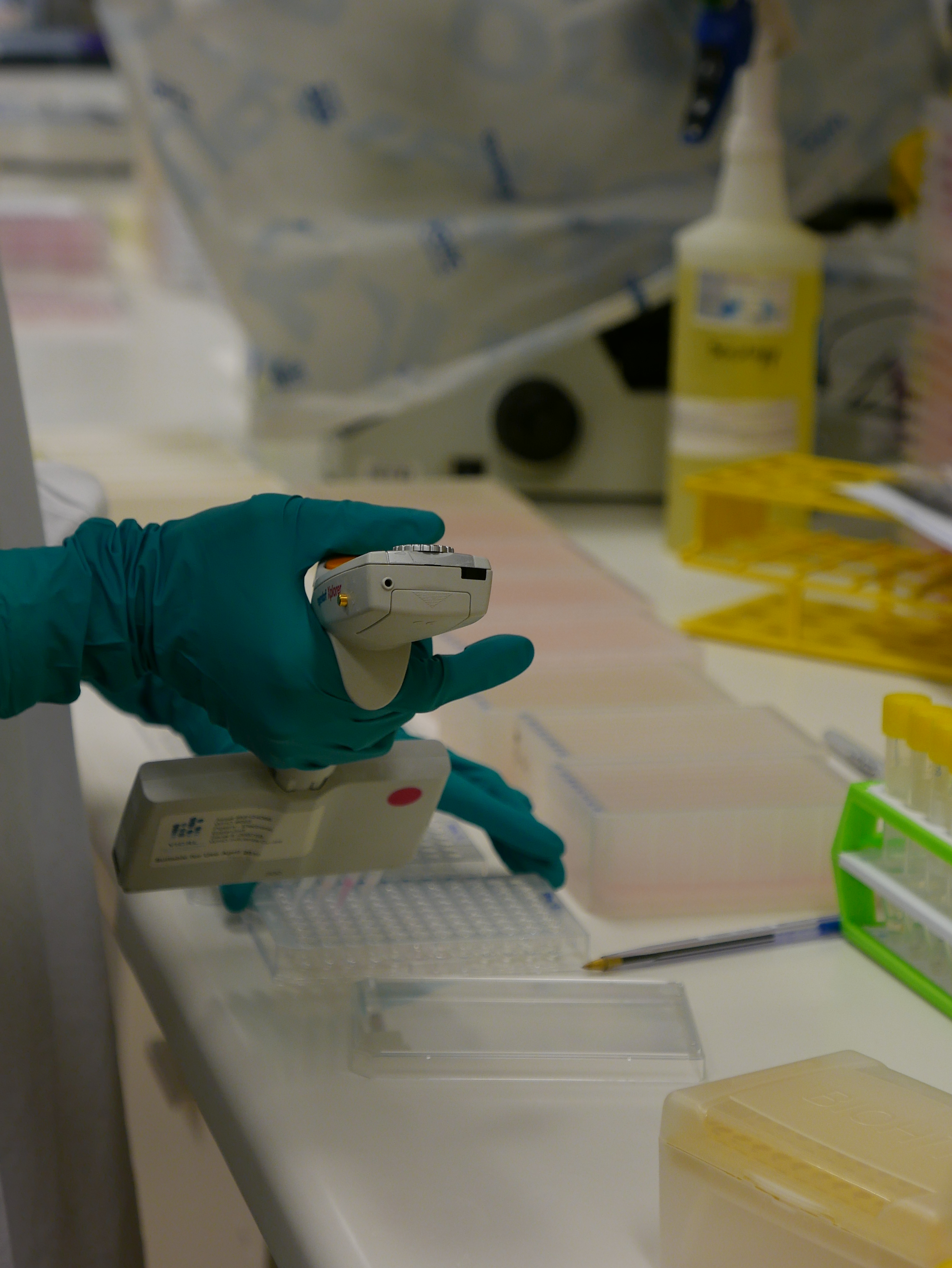 HI Assay pipetting